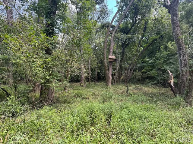 $630,000 | 0 Northeast Ne Corner, Sweet Springs, MO 65351