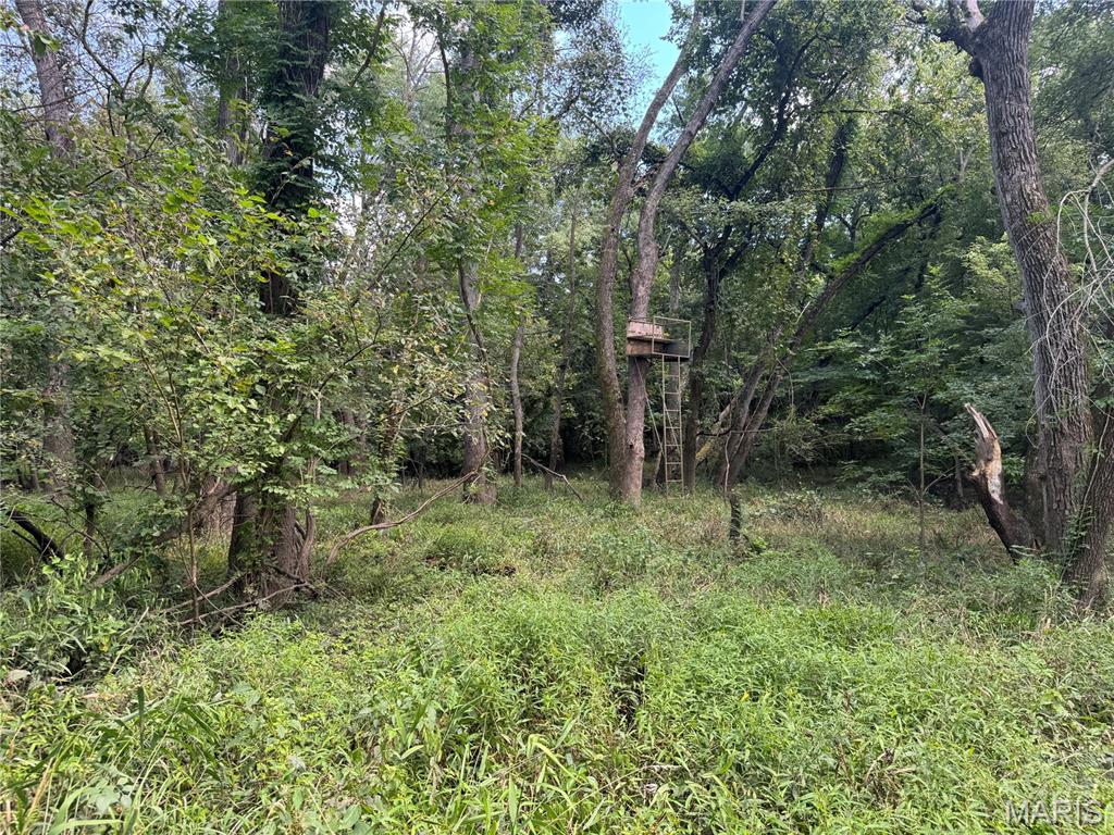 0 Northeast Ne Corner Sweet Springs, MO 65351 - Photo 71 of 97