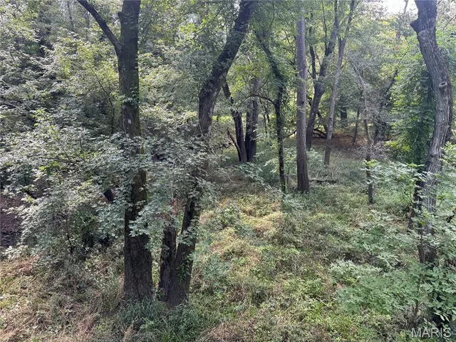 $630,000 | 0 Northeast Ne Corner, Sweet Springs, MO 65351