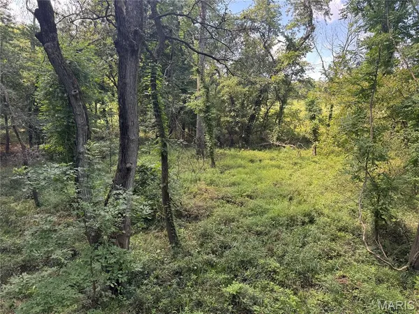 $630,000 | 0 Northeast Ne Corner, Sweet Springs, MO 65351