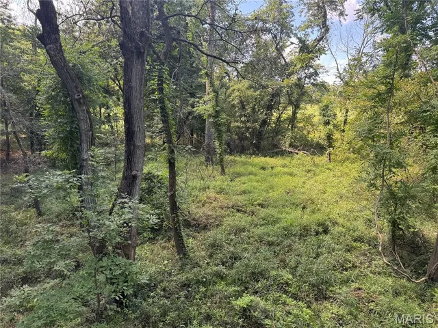 $630,000 | 0 Northeast Ne Corner, Sweet Springs, MO 65351