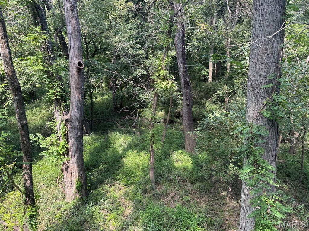 0 Northeast Ne Corner Sweet Springs, MO 65351 - Photo 75 of 97