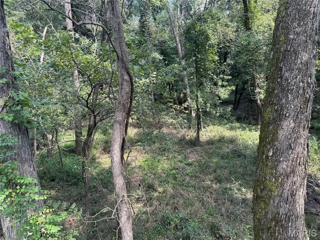 $630,000 | 0 Northeast Ne Corner, Sweet Springs, MO 65351