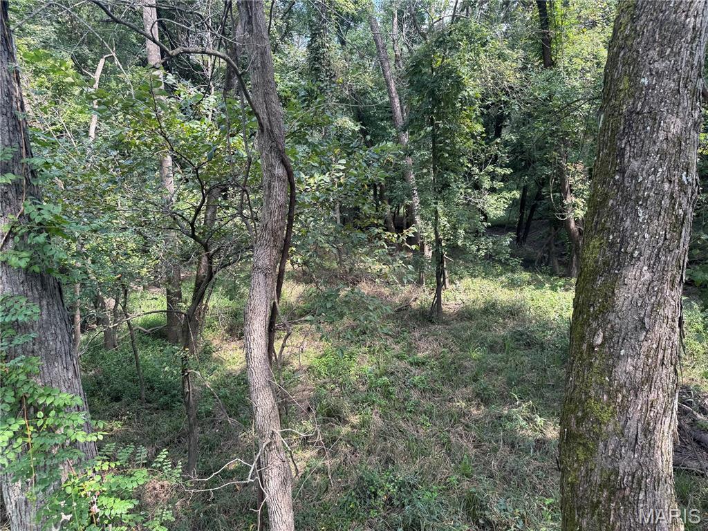 0 Northeast Ne Corner Sweet Springs, MO 65351 - Photo 76 of 97