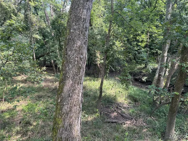 $630,000 | 0 Northeast Ne Corner, Sweet Springs, MO 65351