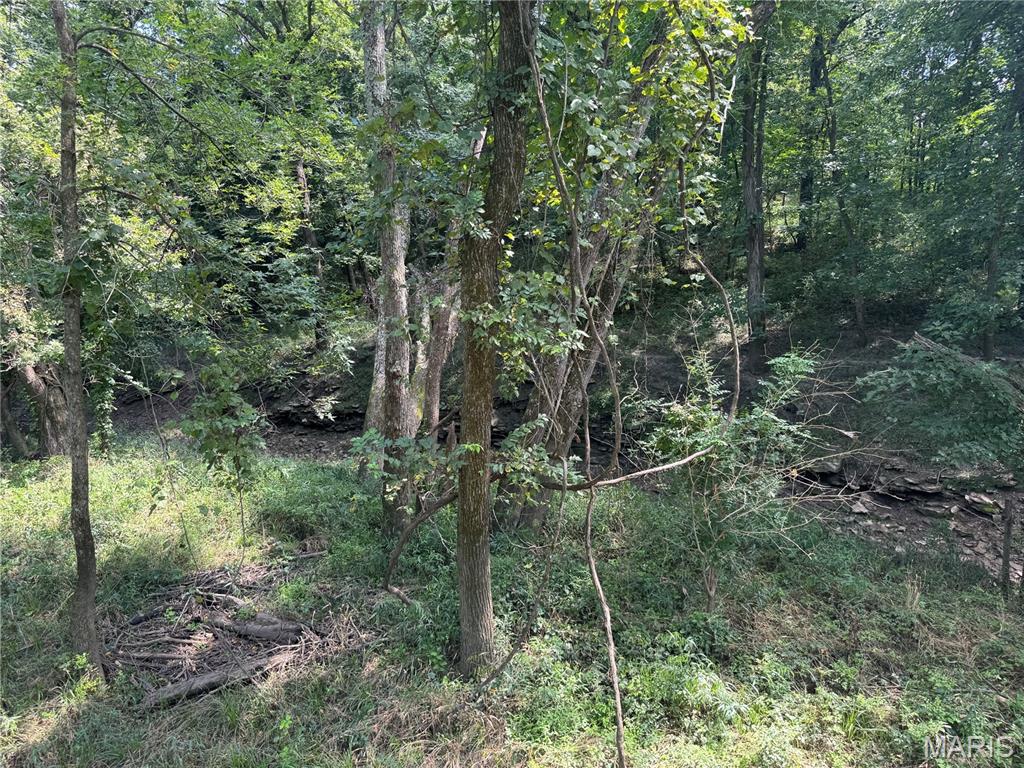 0 Northeast Ne Corner Sweet Springs, MO 65351 - Photo 78 of 97