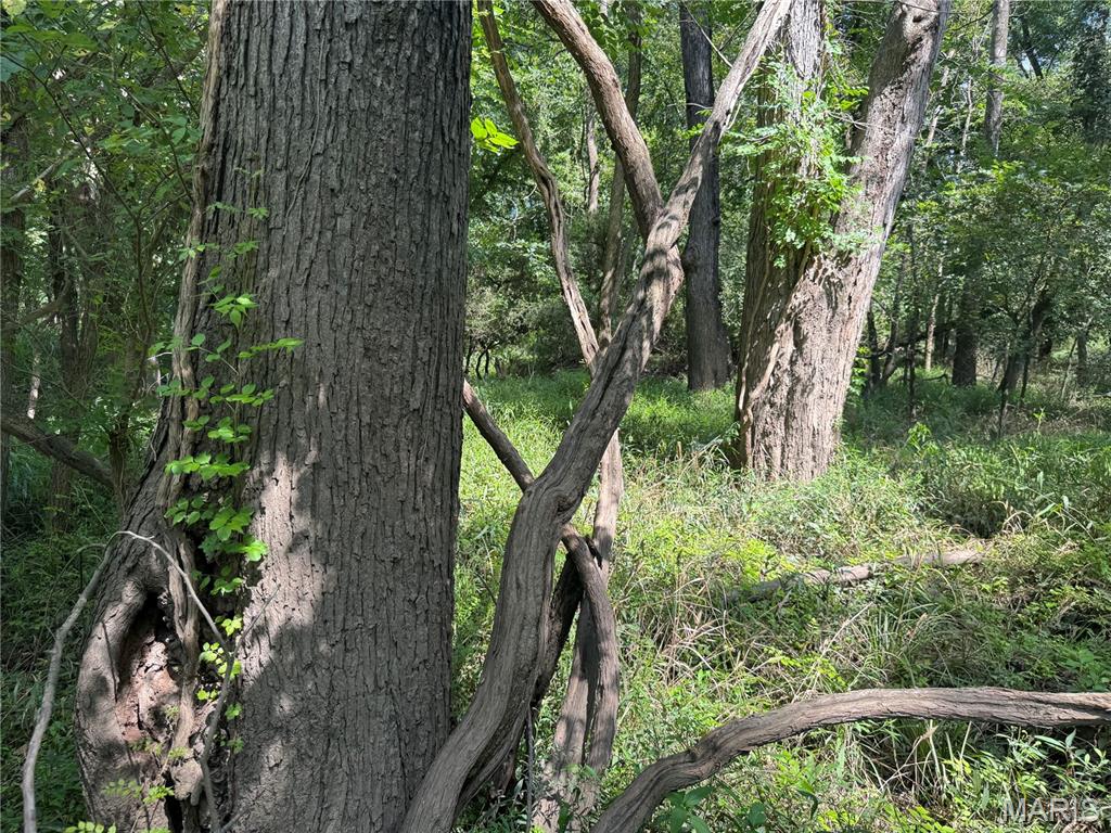 0 Northeast Ne Corner Sweet Springs, MO 65351 - Photo 79 of 97