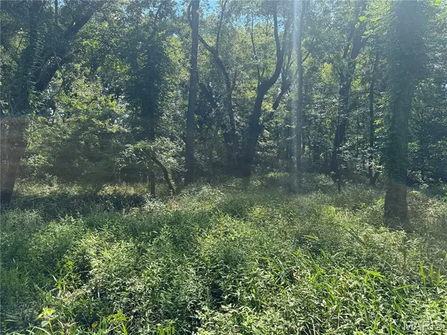 $630,000 | 0 Northeast Ne Corner, Sweet Springs, MO 65351