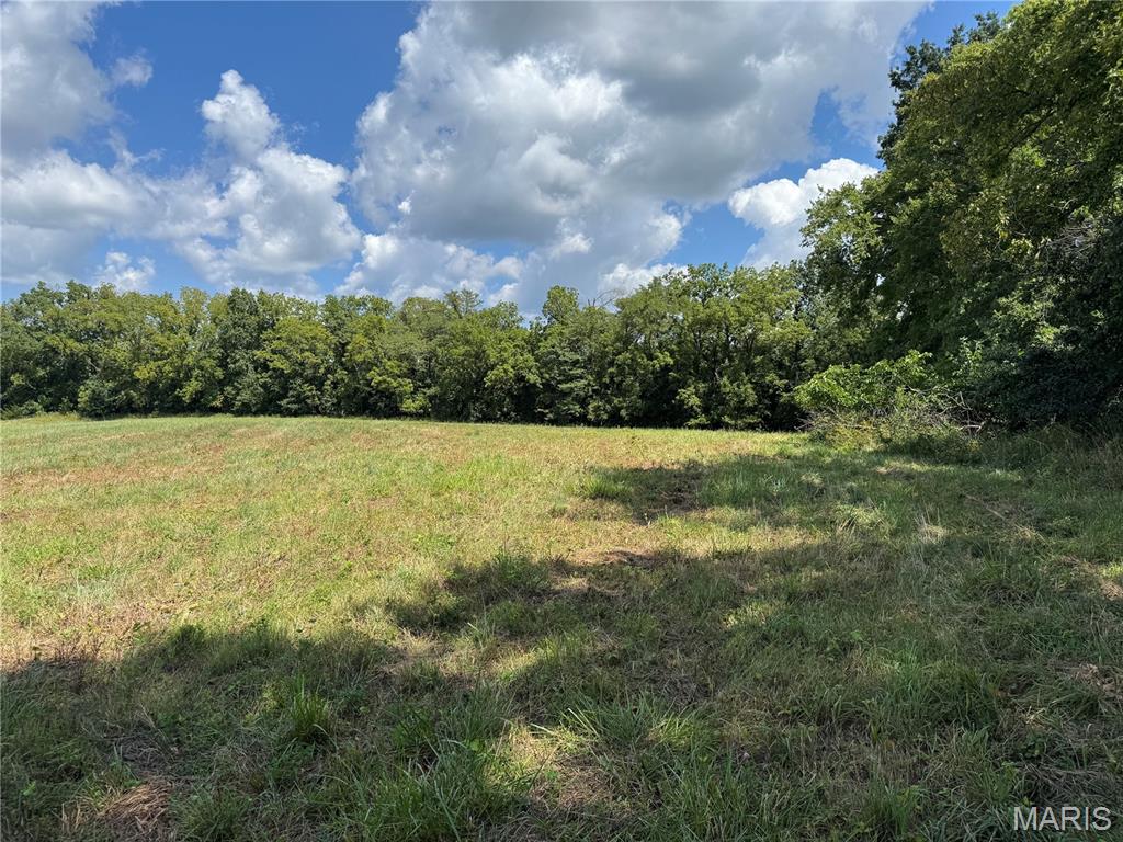 0 Northeast Ne Corner Sweet Springs, MO 65351 - Photo 8 of 97