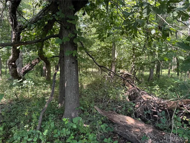 $630,000 | 0 Northeast Ne Corner, Sweet Springs, MO 65351