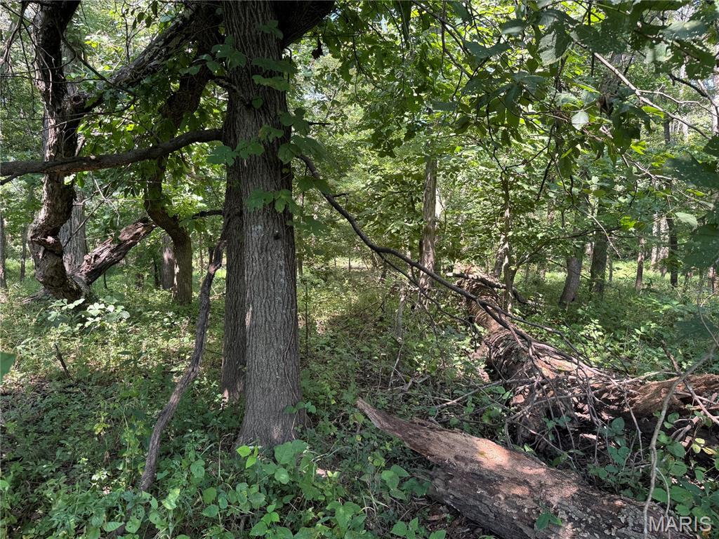 0 Northeast Ne Corner Sweet Springs, MO 65351 - Photo 81 of 97