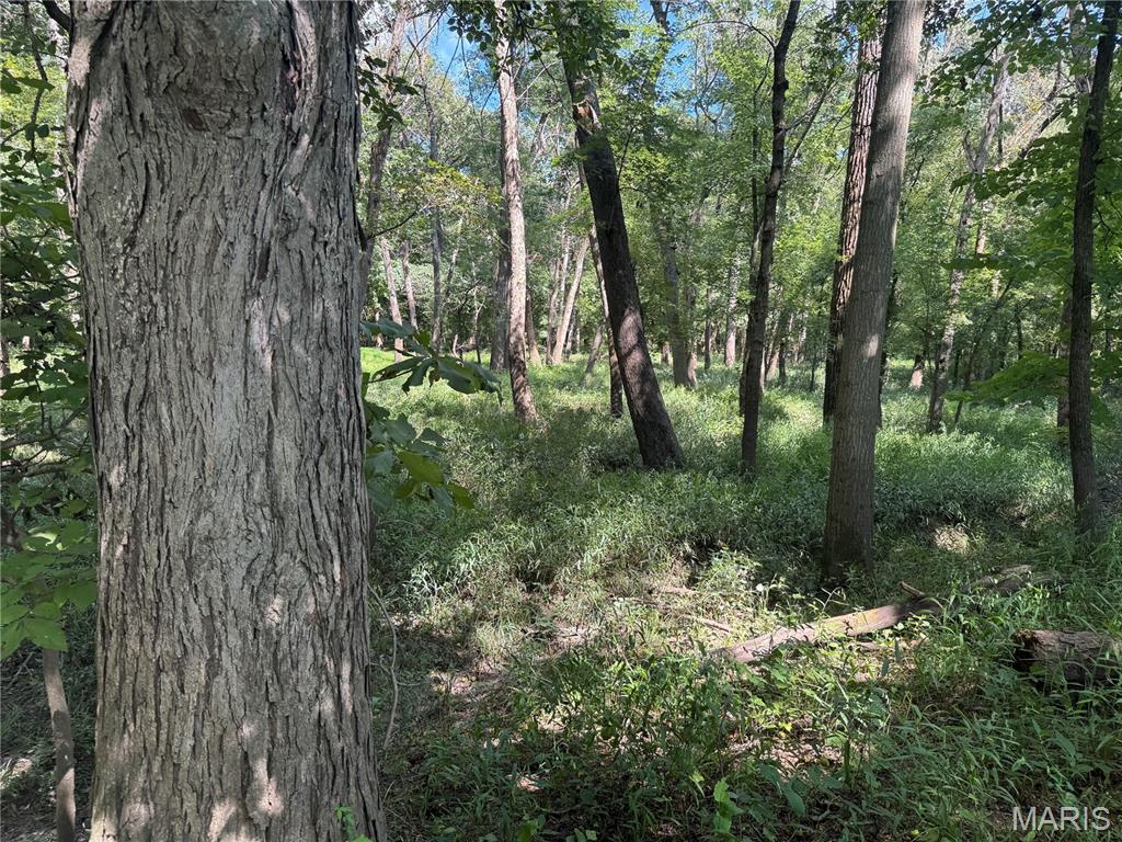 0 Northeast Ne Corner Sweet Springs, MO 65351 - Photo 82 of 97