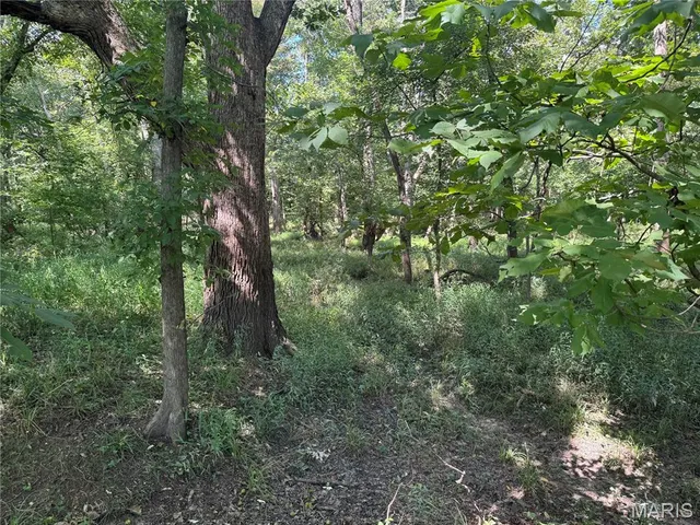 $630,000 | 0 Northeast Ne Corner, Sweet Springs, MO 65351