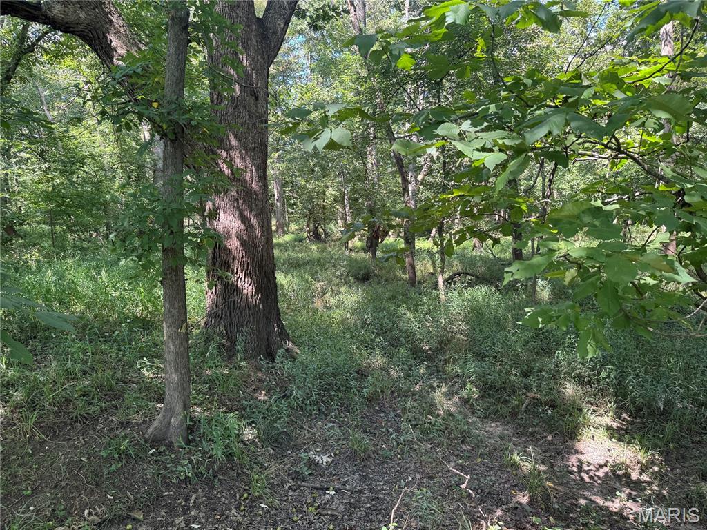 0 Northeast Ne Corner Sweet Springs, MO 65351 - Photo 83 of 97