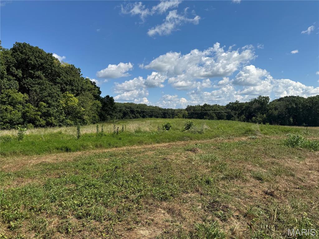 0 Northeast Ne Corner Sweet Springs, MO 65351 - Photo 88 of 97