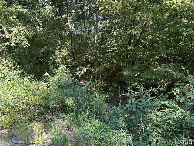 $630,000 | 0 Northeast Ne Corner, Sweet Springs, MO 65351