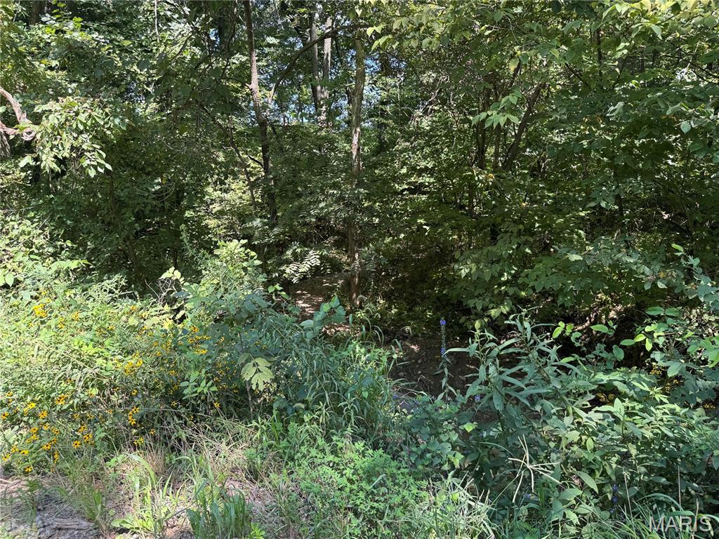 0 Northeast Ne Corner Sweet Springs, MO 65351 - Photo 89 of 97