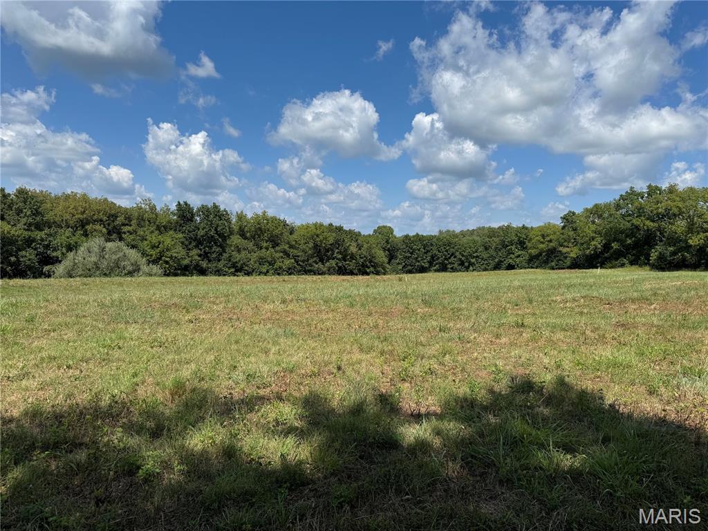 0 Northeast Ne Corner Sweet Springs, MO 65351 - Photo 9 of 97