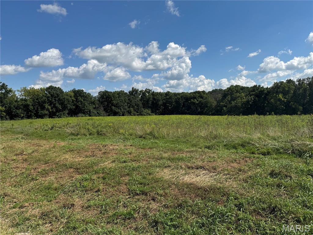 0 Northeast Ne Corner Sweet Springs, MO 65351 - Photo 93 of 97