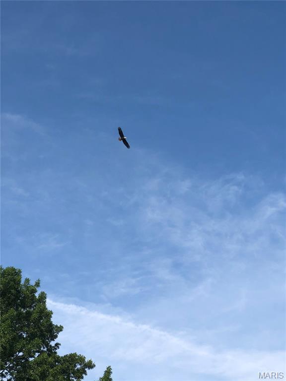 0 Northeast Ne Corner Sweet Springs, MO 65351 - Photo 94 of 97