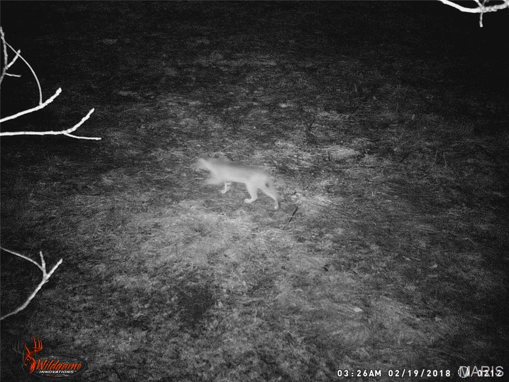 0 Northeast Ne Corner Sweet Springs, MO 65351 - Photo 95 of 97