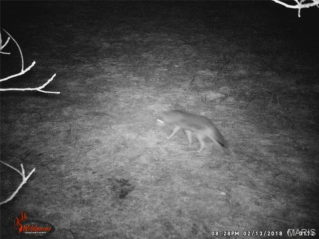 $630,000 | 0 Northeast Ne Corner, Sweet Springs, MO 65351