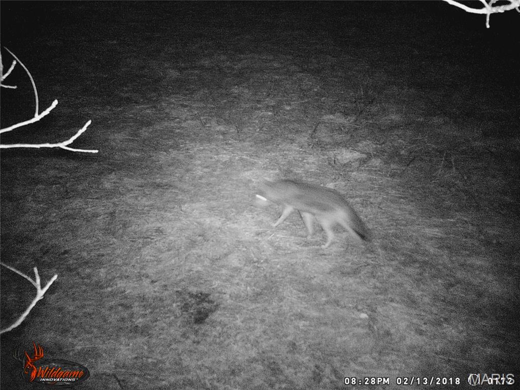 0 Northeast Ne Corner Sweet Springs, MO 65351 - Photo 96 of 97