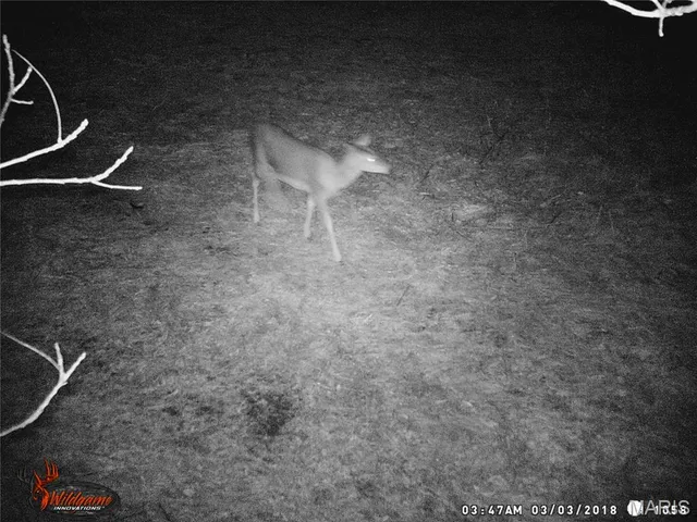 $630,000 | 0 Northeast Ne Corner, Sweet Springs, MO 65351