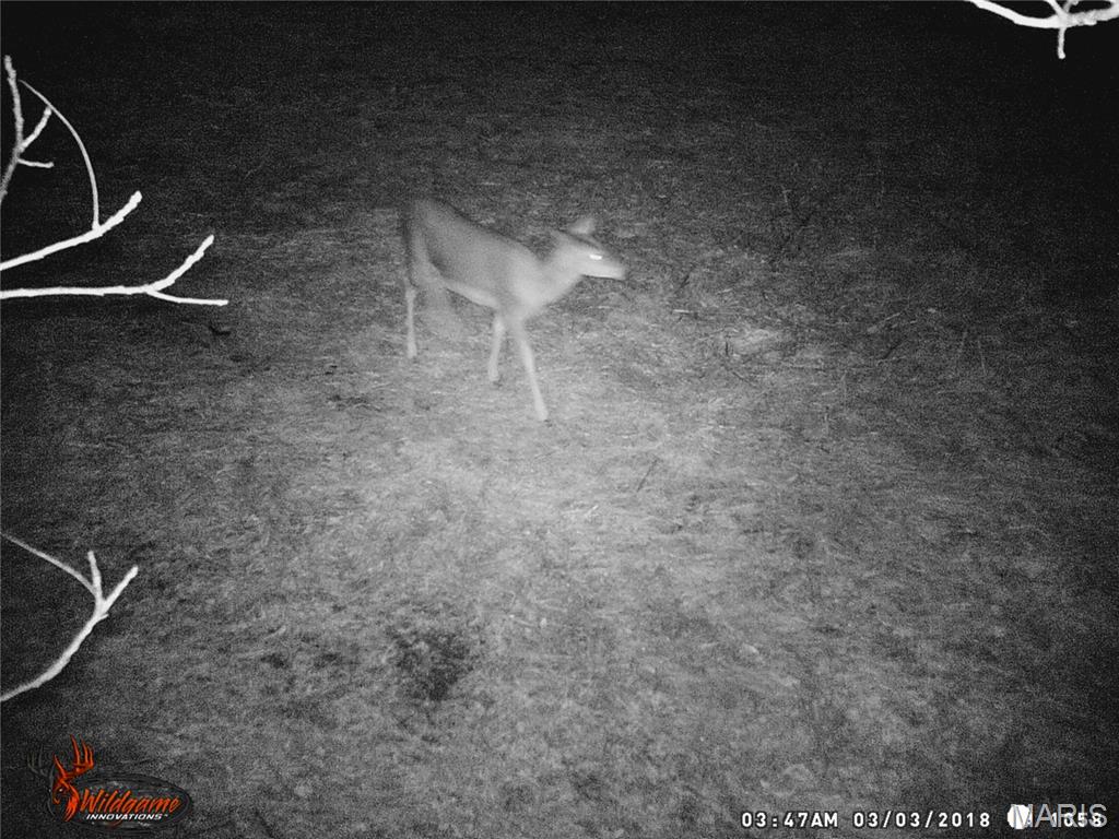 0 Northeast Ne Corner Sweet Springs, MO 65351 - Photo 97 of 97