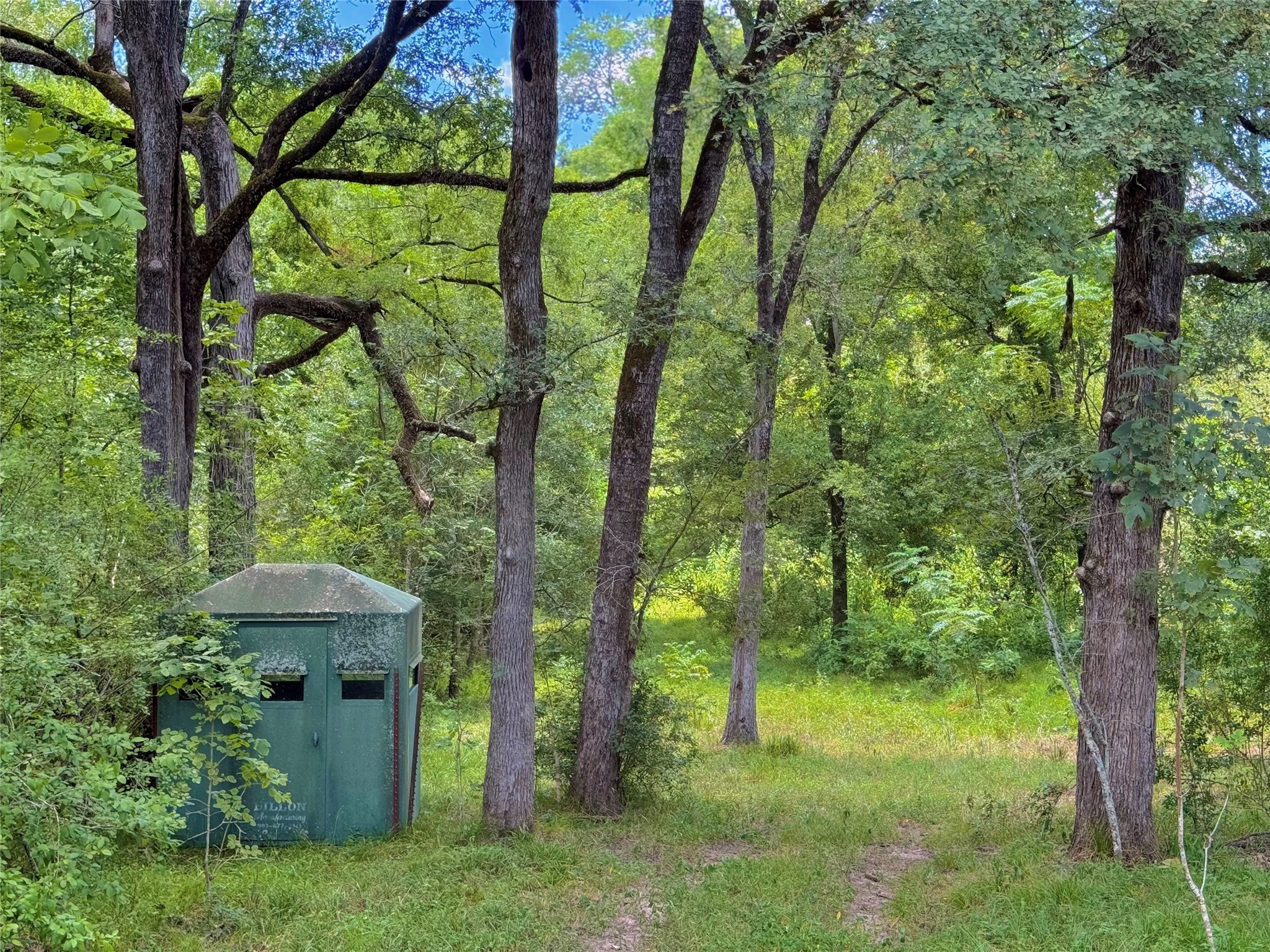 0 FM 180 Road Ledbetter, TX 78946 - Photo 12 of 14 a view of a garden with plants and large trees
