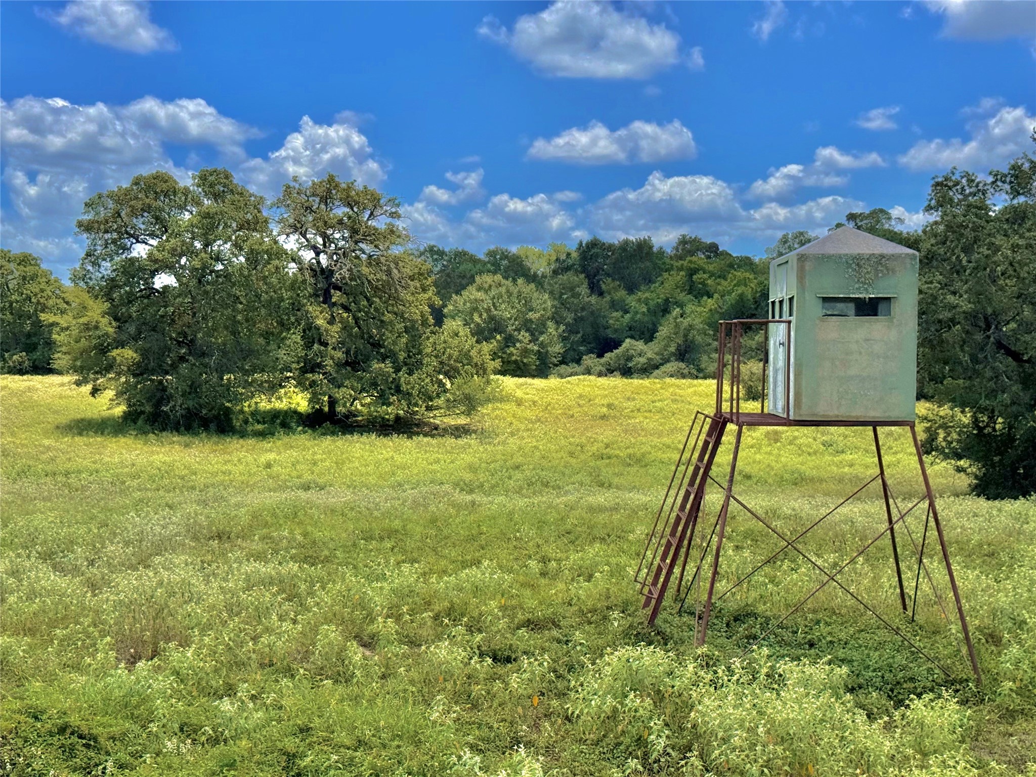 0 FM 180 Road Ledbetter, TX 78946 - Photo 13 of 14
