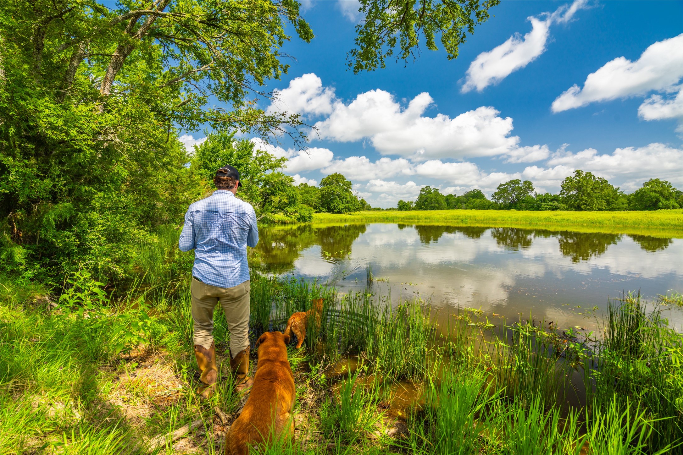 0 FM 180 Road Ledbetter, TX 78946 - Photo 2 of 14 a view of a lake with outdoor space