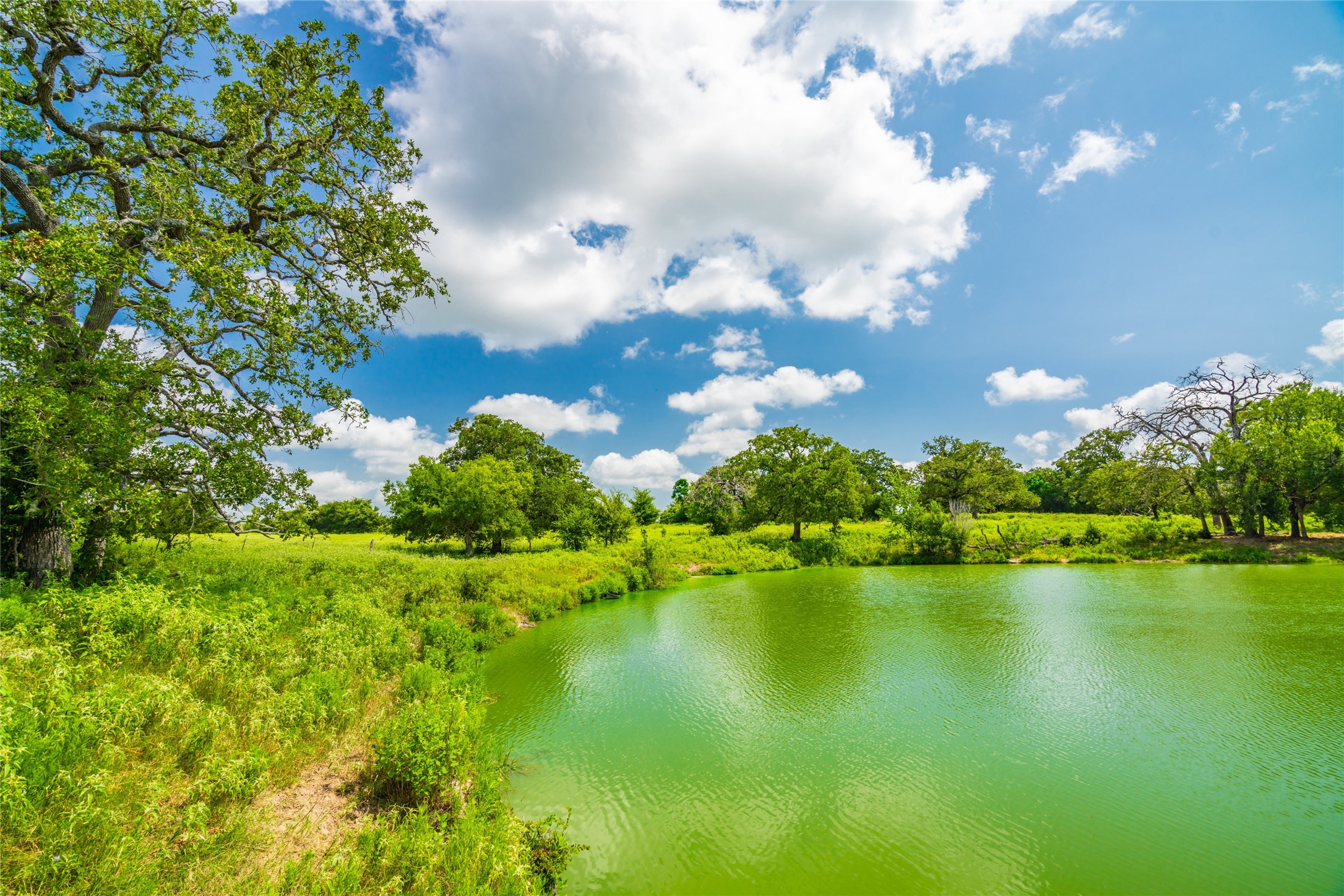 0 FM 180 Road Ledbetter, TX 78946 - Photo 4 of 14 a view of a lake with houses in the background