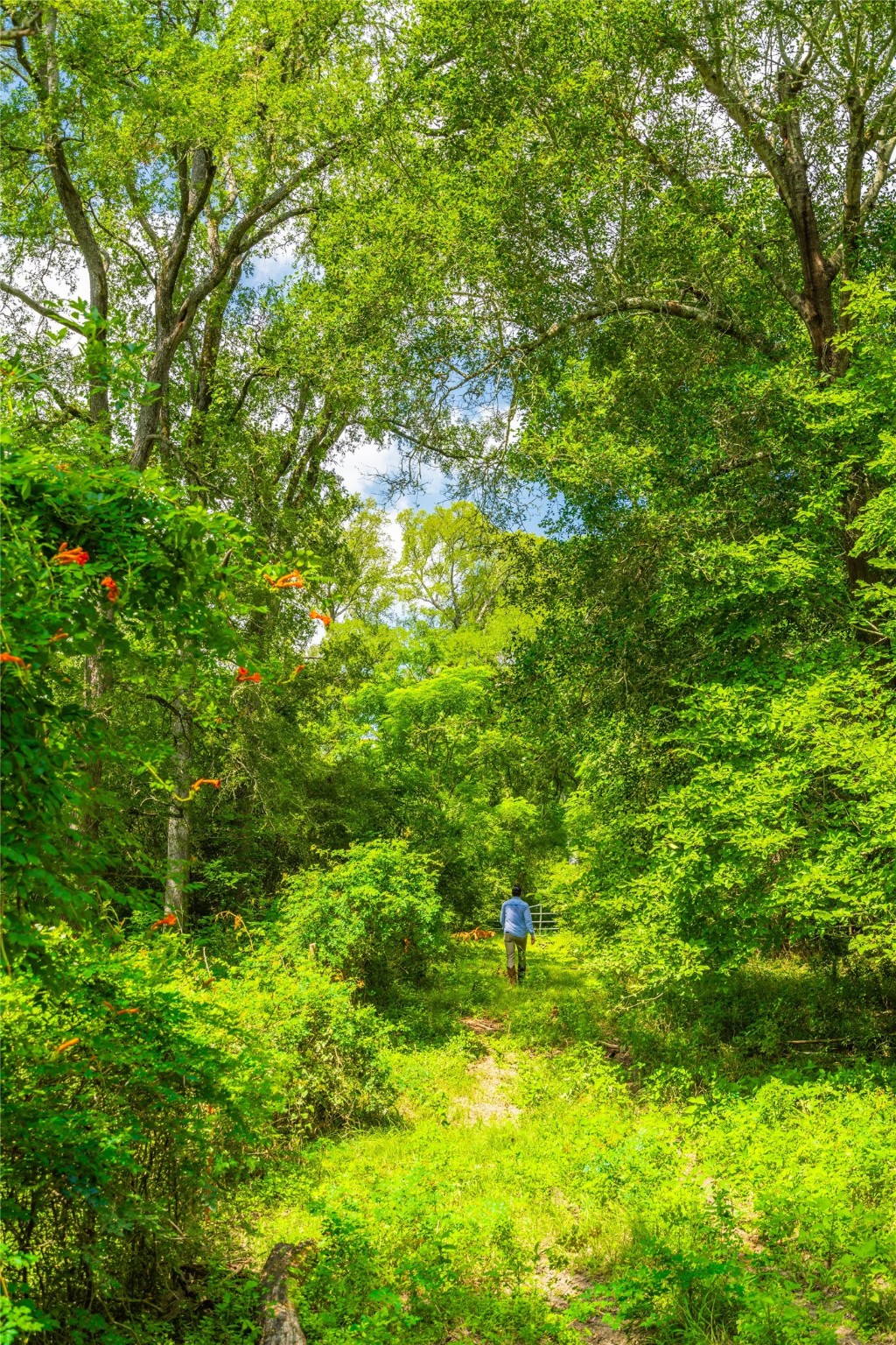 0 FM 180 Road Ledbetter, TX 78946 - Photo 5 of 14 a view of yard with green space