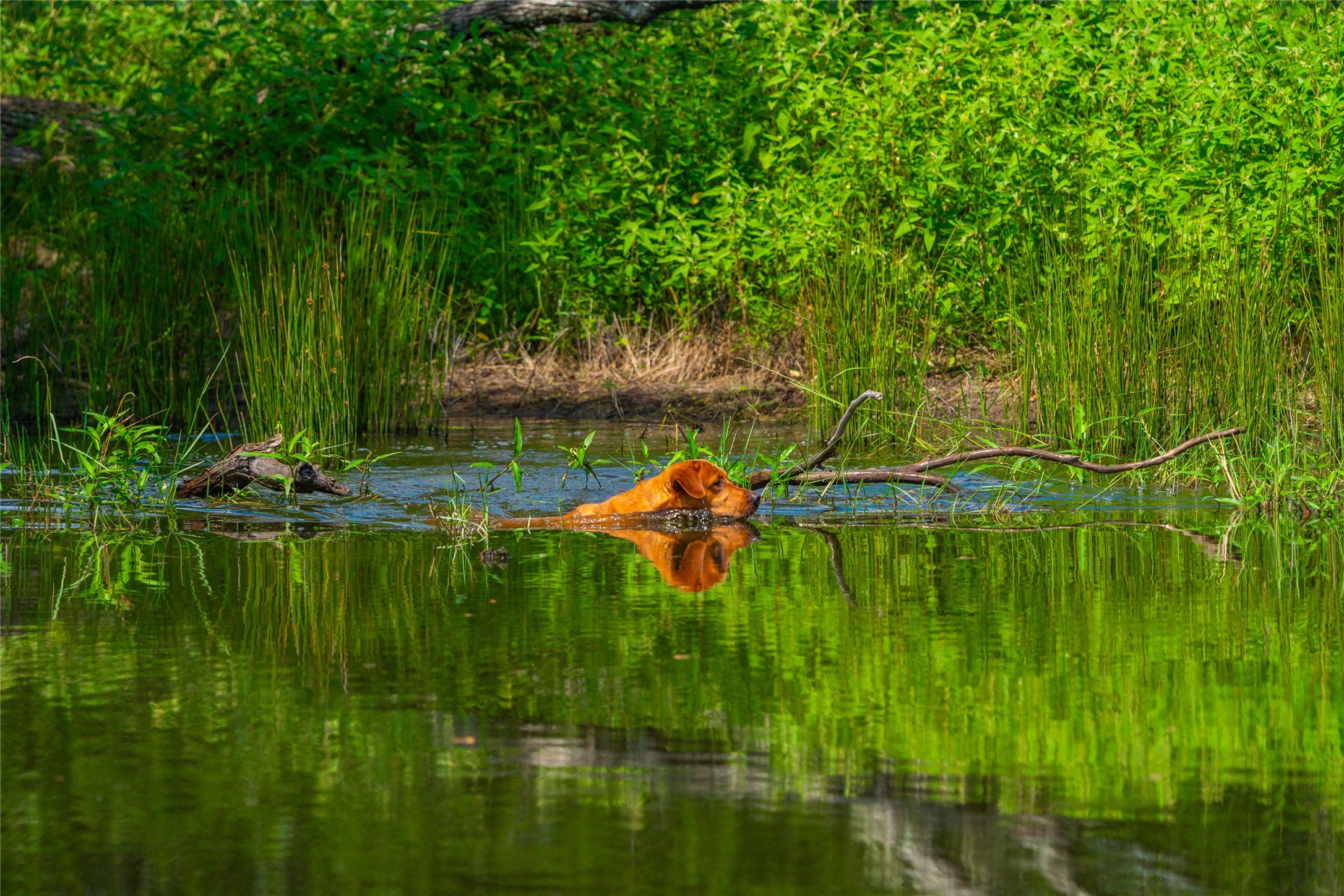 0 FM 180 Road Ledbetter, TX 78946 - Photo 8 of 14 a backyard of a house with lots of green space and lake view