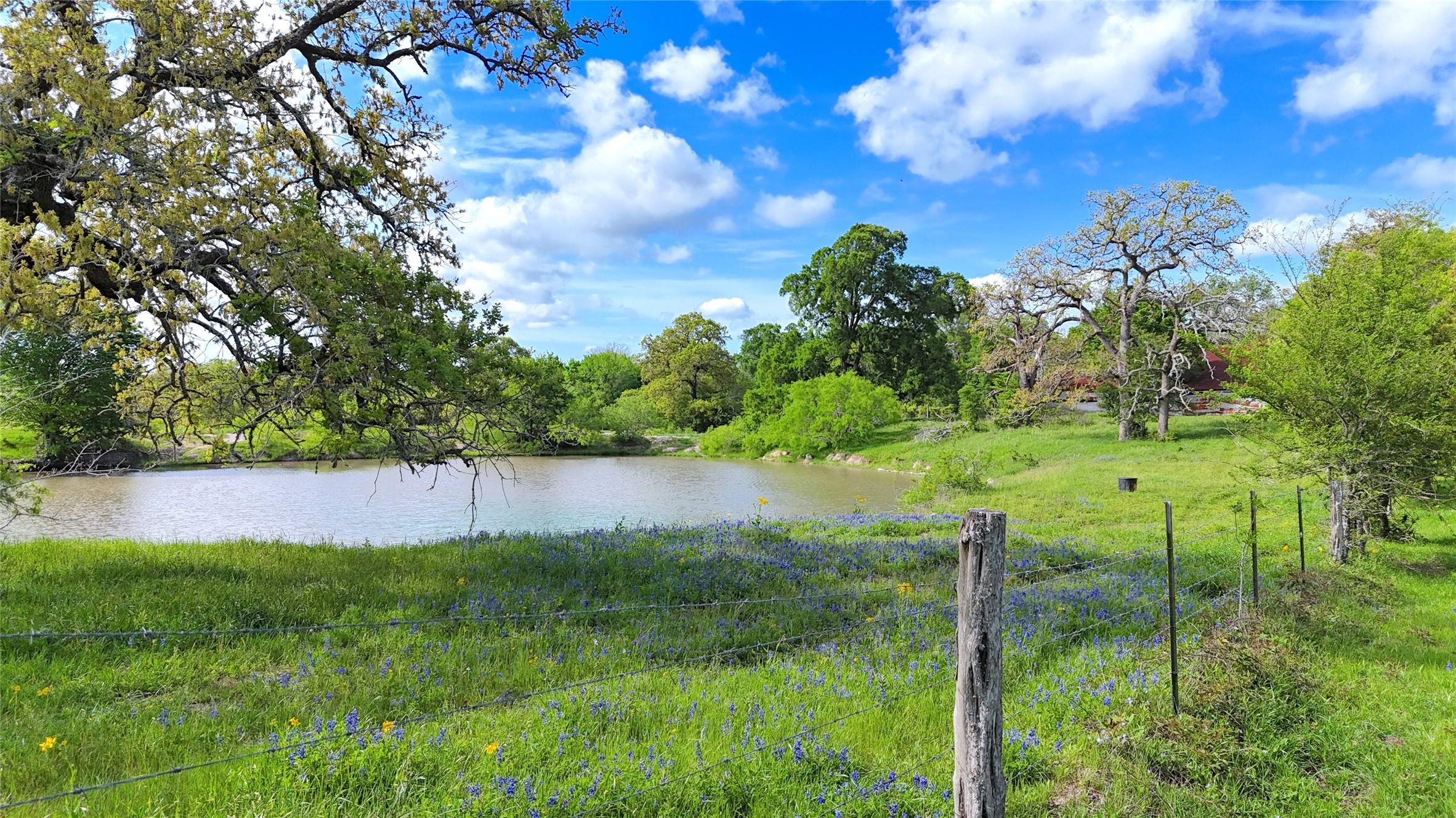 0 FM 180 Road Ledbetter, TX 78946 - Photo 10 of 14 a view of a garden from a lake