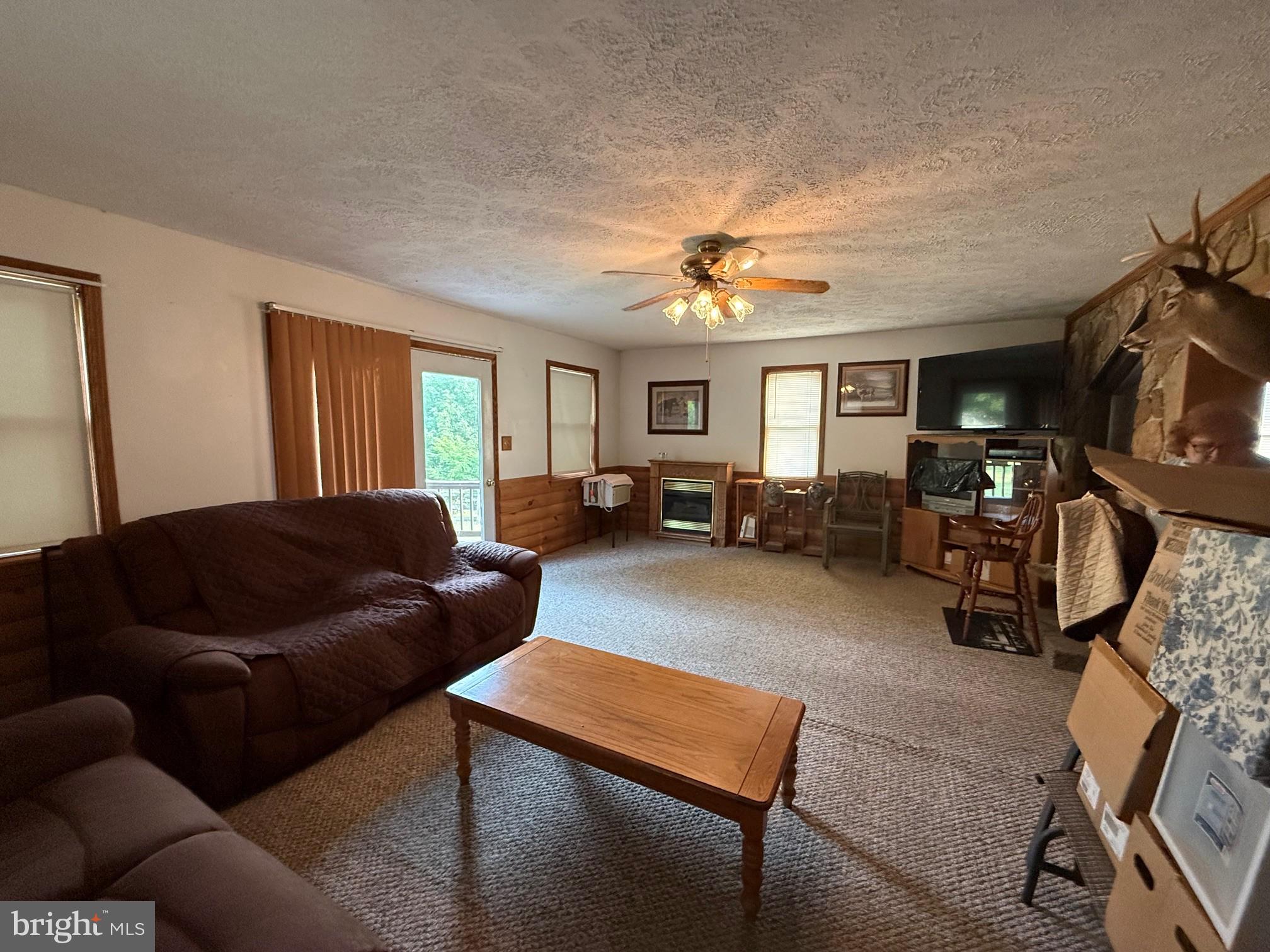 1492 Dice Warner Road Circleville, WV 26804 - Photo 13 of 36 Cozy living space with natural light.