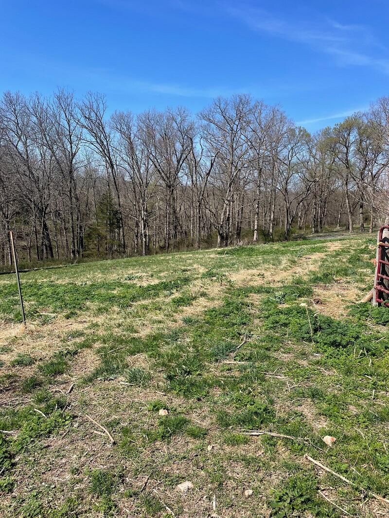 5620 Silver Lake Road Clever, MO 65631 - Photo 8 of 9 Pasture 2