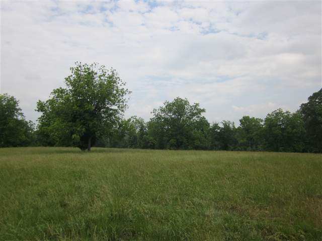 0 Agnew Road, Unit CARL BAKER ROAD Starr, SC 29684 - Photo 1 of 11 Gallery Image 1
