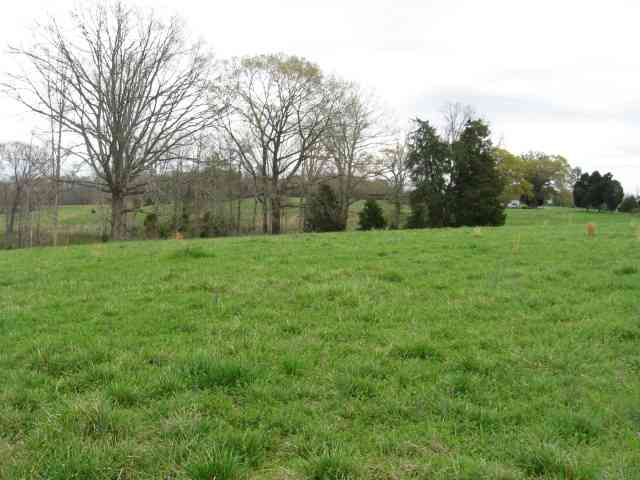 0 Agnew Road, Unit CARL BAKER ROAD Starr, SC 29684 - Photo 7 of 11 Gallery Image 7