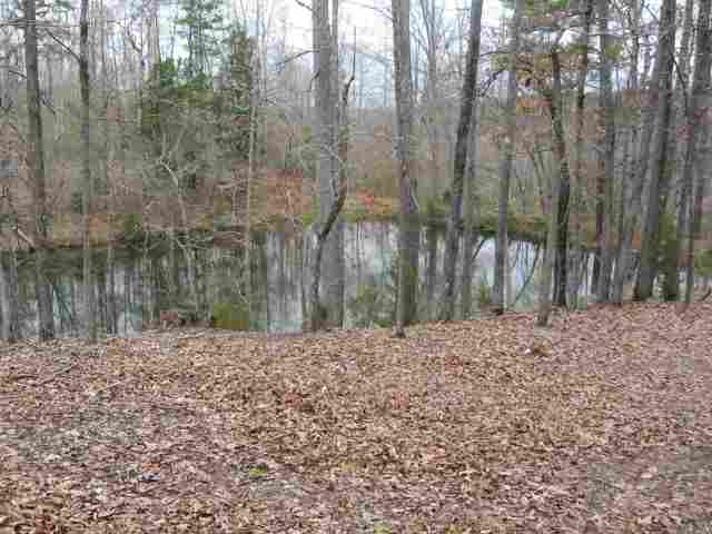 0 Agnew Road, Unit CARL BAKER ROAD Starr, SC 29684 - Photo 10 of 11 Gallery Image 10
