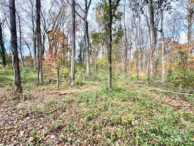 a view of outdoor space with trees