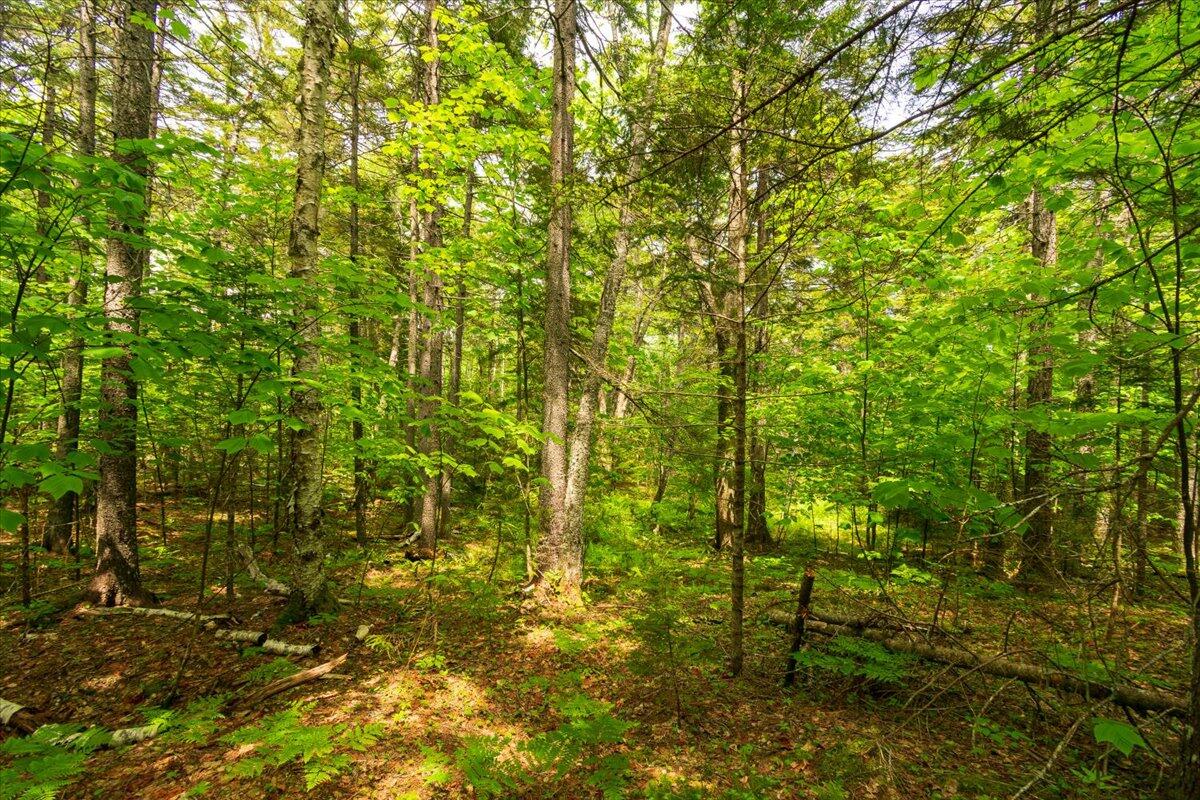 Lot 1 Boulder Hill Road Tenants Harbor, ME 04860 - Photo 15 of 22 Lot 1 Boulder Hill Road, Saint George