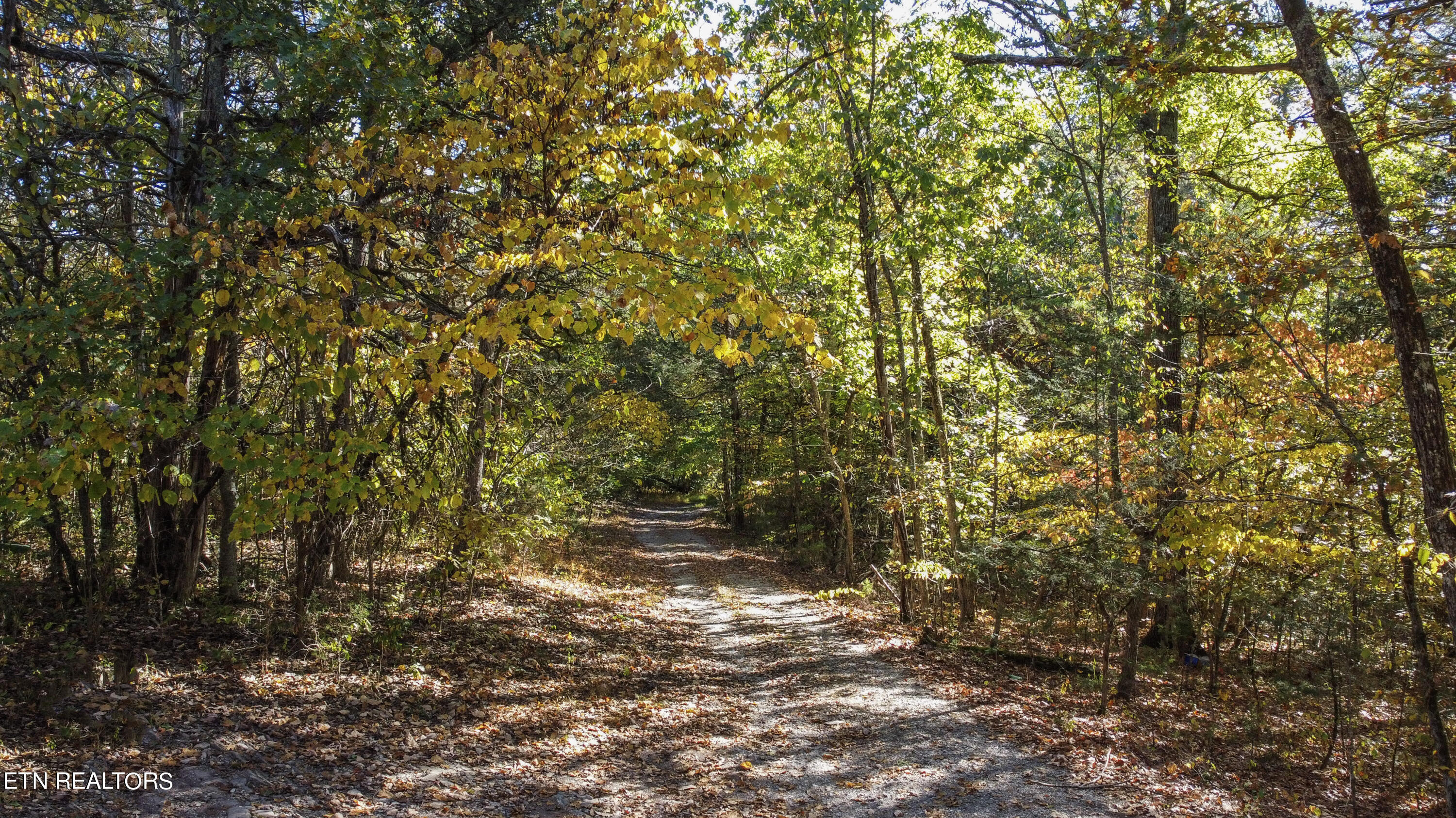Atkins Road Luttrell, TN 37779 - Photo 10 of 22 atkins11pic