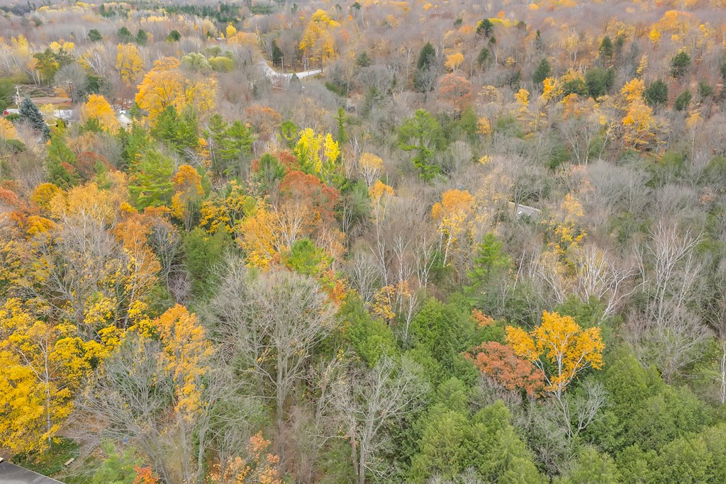 Tbd Maple Ridge Road Egg Harbor, WI 54209 - Photo 10 of 16 Gallery Image 10