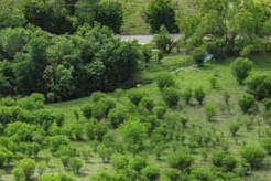 Tbd Scott Street Kyle, TX 78640 - Photo 9 of 30 a view of a lush green forest