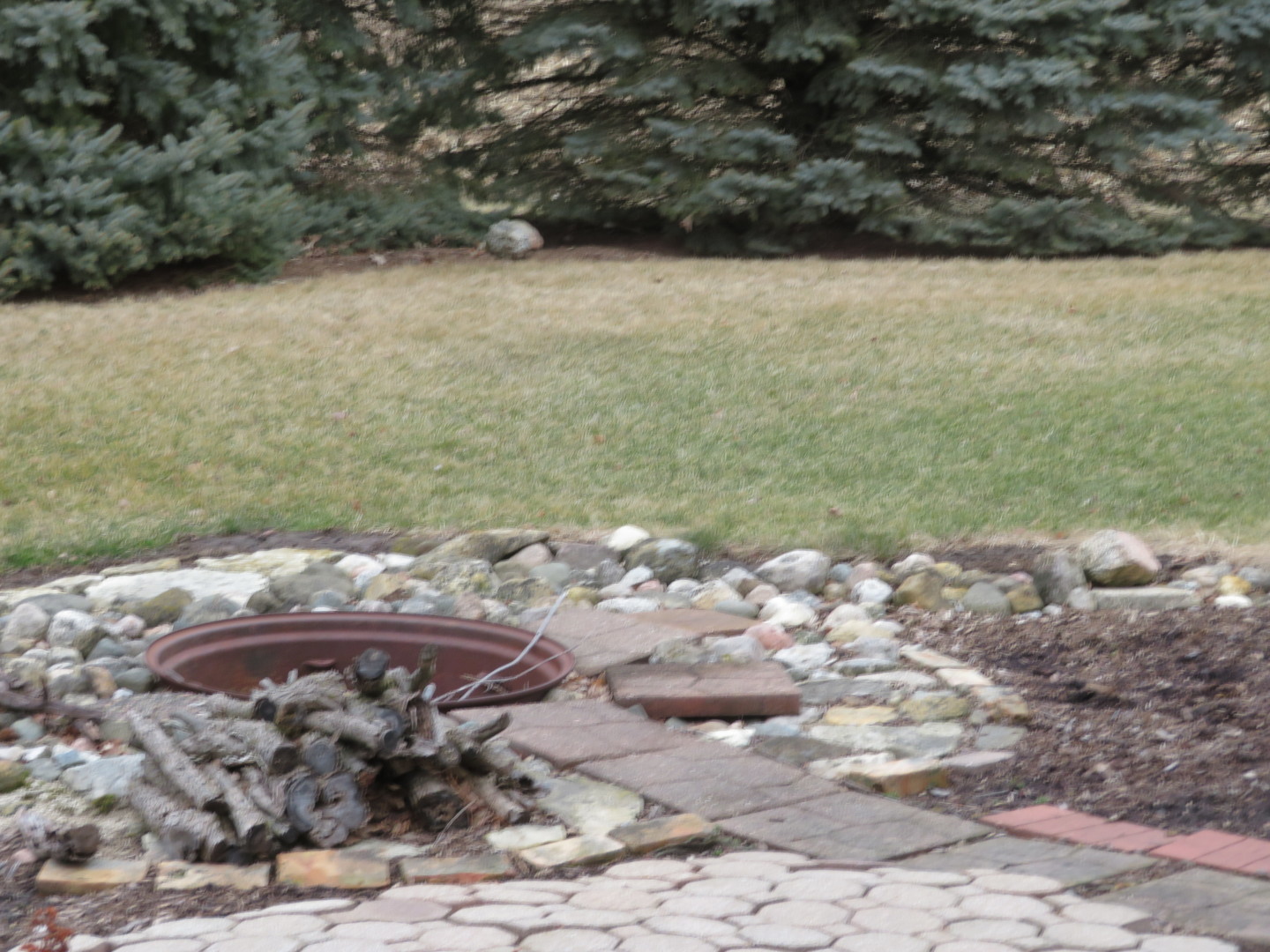 12005 Aldrich Road Sycamore, IL 60178 - Photo 9 of 50 a view of a yard with an outdoor space