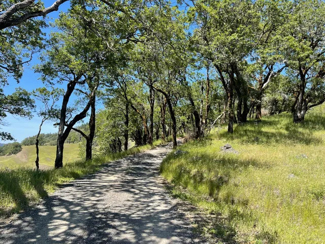 $1,299,000 | 18574 Tomki Road, Willits, CA 95490