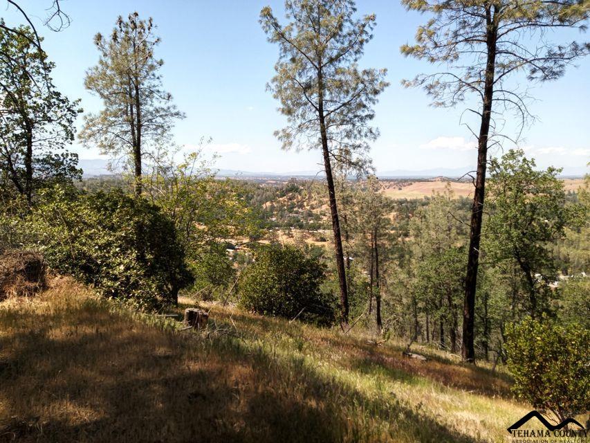 15912 Stagecoach Road Corning, CA 96021 - Photo 9 of 13