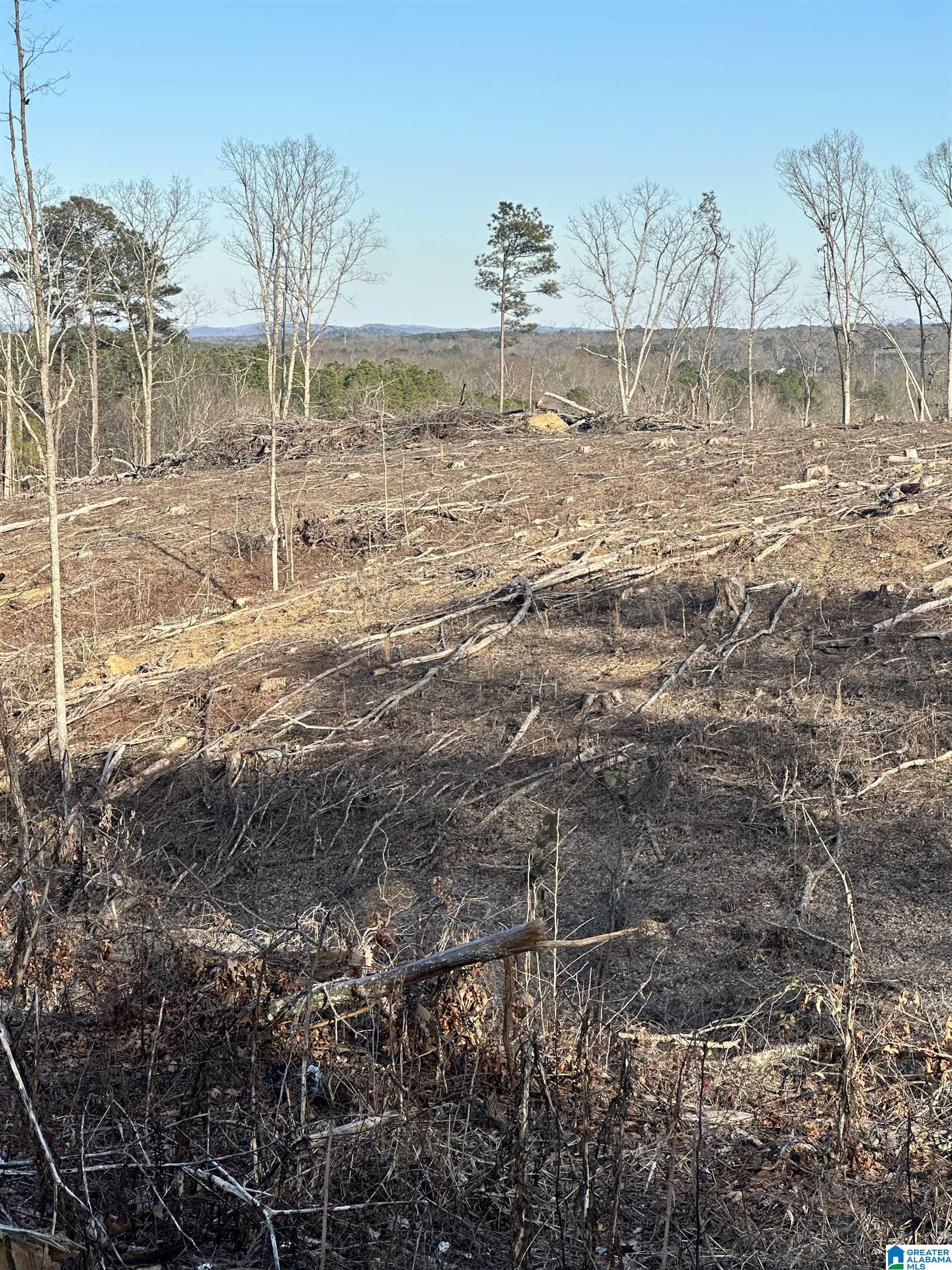 500 Haynes Road Altoona, AL 35952 - Photo 45 of 50